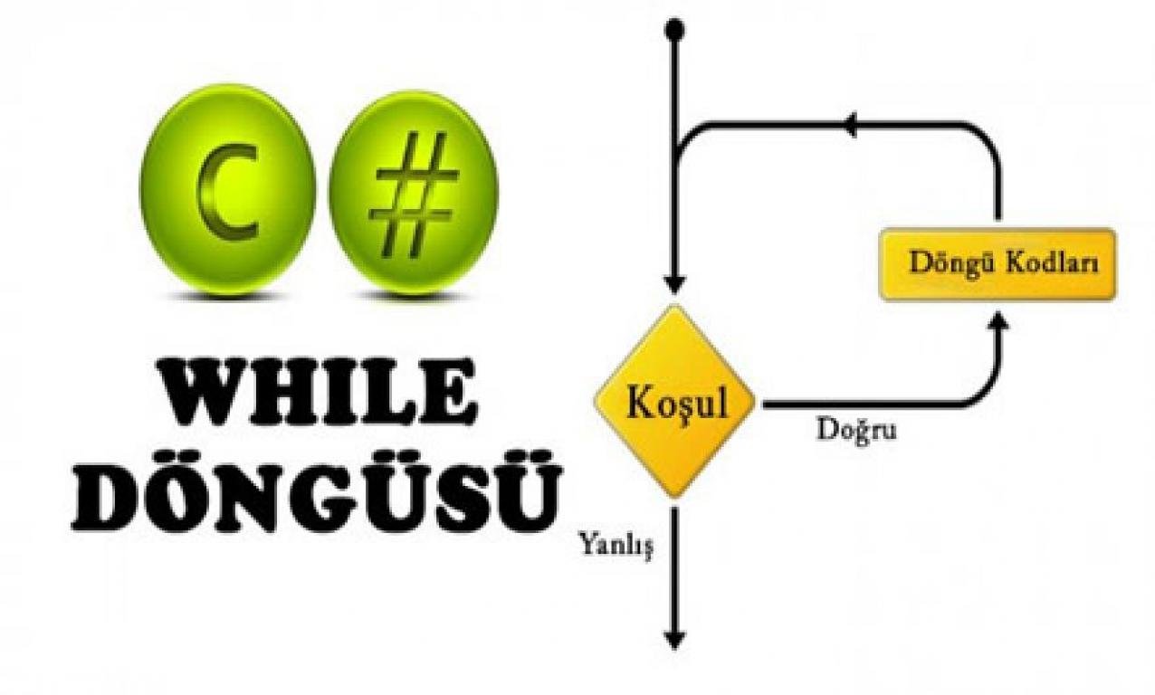 Blog Single